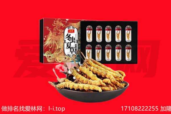 巢湖回收虫草.jpg